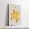 Pièce 2